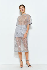 Sequin Sheer Midi Skirt