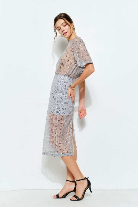 Sequin Sheer Midi Skirt