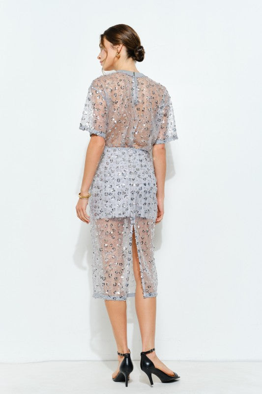 Sequin Sheer Midi Skirt